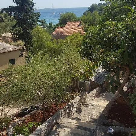 Ana Villa